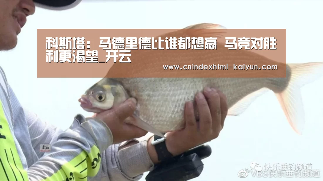  即时比分入口