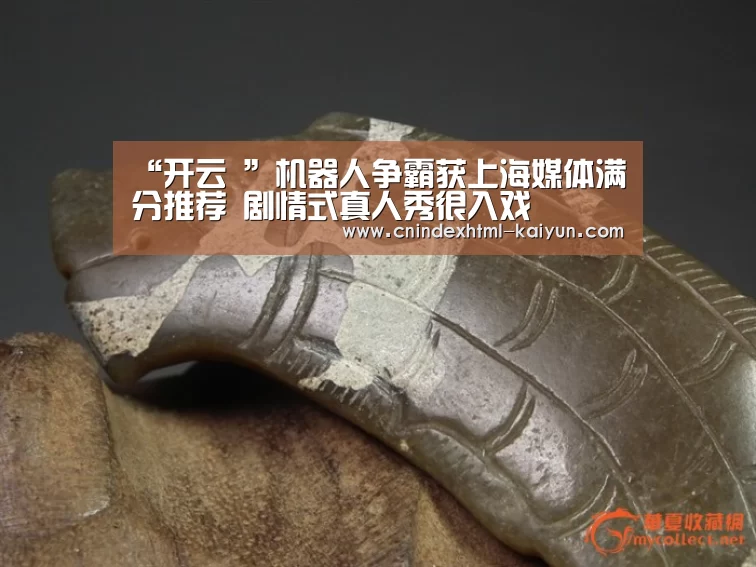 “开云 ”机器人争霸获上海媒体满分推荐 剧情式真人秀很入戏(图2) 开云
