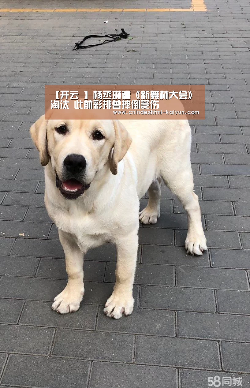  kaiyun官网首页 